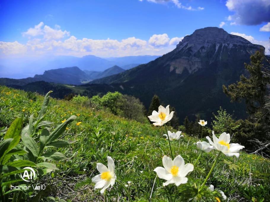 Theys La Tour En Belledonneヴィラ エクステリア 写真